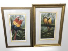 After Adrian Rigby : Two limited edition colour prints depicting parrots, signed in pencil,