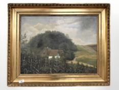 Danish School : Cottage on a hillside, oil on canvas, 60 cm x 45 cm.