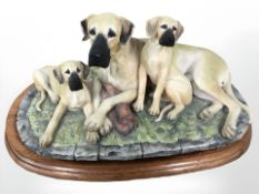 A Border Fine Arts Great Dane and Pups BO653 by Margaret Turner, limited edition of 950, on plinth,