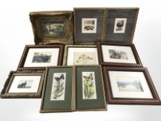 Assorted pictures and prints, needlework butterfly pictures, etc.