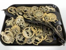A collection of horse brasses