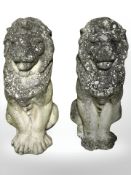 A pair of weathered concrete seated garden lion statues,