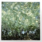 Ben Wayman : Bolam Yellow, oil on canvas, 61 cm x 61 cm.