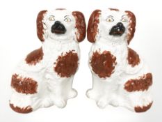 A pair of Staffordshire King Charles spaniels, height 25 cm.