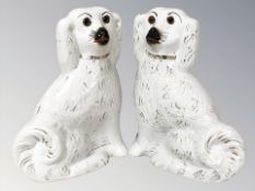 A pair of Staffordshire King Charles spaniels, height 33 cm.