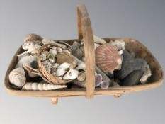 A wicker basket containing assorted sea shells, geology specimens, etc, basket 50 cm wide.