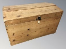 An early 20th century pine trunk, width 77 cm.