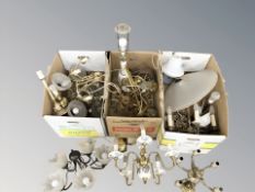 A large quantity of light fittings and fixtures, table lamps, etc.