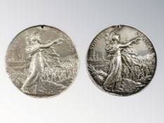 Two Victoria South Africa medals, the first to 3296 Trooper L Johnston, 15th Co 5th Bn. Imp.