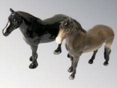 A Beswick brown gloss Exmoor pony and black gloss Dale pony, tallest 16.