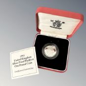 Royal Mint : 1993 United Kingdom Silver Proof Piedfort One Pound Coin, 19g,