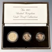 Royal Mint : 1983 United Kingdom Gold Proof Collection, Two Pound Coin,