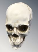 A life size composition human skull,