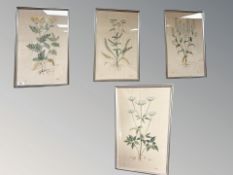 Four needlework embroideries depicting foliage, each 51 cm x 32 cm.