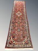 A North West Iranian runner,