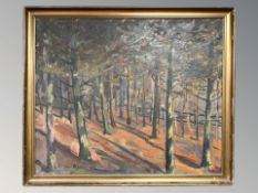 Thomas Skeel Andersen : Woodland forest, oil on canvas, 74 cm x 62 cm.