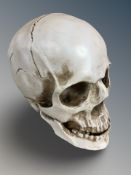 A composition human skull