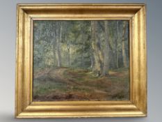 Danish School : Pathway through woodland, oil on canvas, 39 cm x 32 cm.