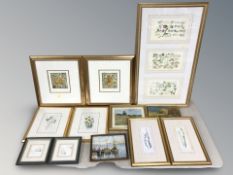 A large quantity of pictures and prints, botanical studies, golfing prints, caricatures, etc.