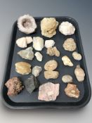 A group of geological specimens, fossils, etc.