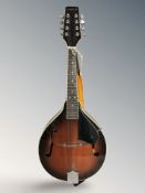 A Samick mandolin