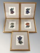 A set of five Chinese embroidered pictures depicting koi carp, each 11 cm x 8 cm.