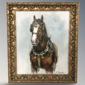 Ella Bailes (British, Contemporary) Study of a shire horse, oil on board, 29 cm x 24 cm.