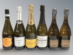 Six modern bottles of prosecco including Terredirai, etc.