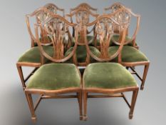 A set of eight reproduction shield back mahogany dining chairs with green dralon seats