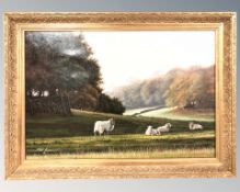 Paul James (Contemporary) : Yews in a field, oil on canvas, 50 cm x 75 cm.