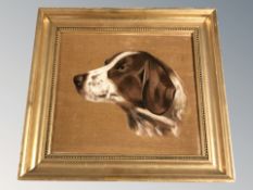 Continental School : Portrait of a hound, oil on fabric, 25 cm x 27 cm.