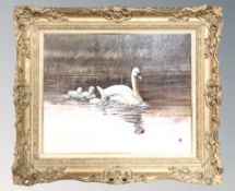 David Feather (1952-2005) Swans on a lake, oil on canvas,