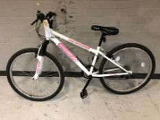 An Interger bike, frame 14