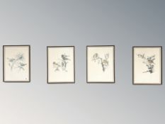 Four colour prints depicting birds on branches, each 26 cm x 36 cm.