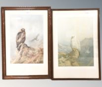 After Archibald Thorburn : Two colour prints depicting birds of prey, signed in pencil, 26 cm x 17.