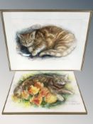 Anders Rasgaard : Two watercolours depicting cats, largest 51 cm x 70 cm.