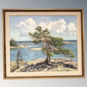 Danish School : Tree by a coast, oil on board, 53 cm x 44 cm.