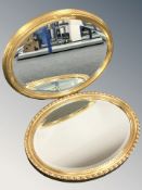 Two reproduction gilt oval mirrors, each approximately 78 cm long.