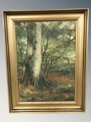 J Heibol : Trees in woodland, oil on canvas, signed and dated 1925, 53 cm x 38 cm.