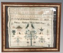 A William IV alphabet sampler by Betsey Haslem, aged eleven years, dated 1833, in frame,