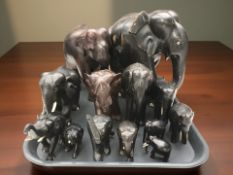 A group of African carved ebony elephants, tallest 26 cm.