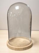 A glass dome and circular wooden stand, height 30 cm.