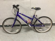 A Raleigh Salsa bike,