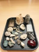 A group of coral specimens, fossil, Japanese lacquer paperweight depicting a rat,