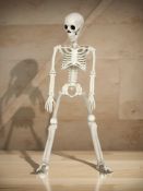 A replica child's skeleton.