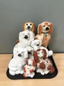 A group of Staffordshire dogs
