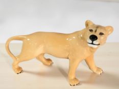 A Beswick lioness, length 23 cm.