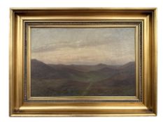 Danish School : View across moorland, oil on canvas, 49 cm x 32 cm.