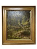 E Schneider : A tranquil stream through woodland, oil on board, 46 cm x 56 cm.