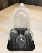 Four glass domes, tallest 50 cm. CONDITION REPORT: 20th century not antique.